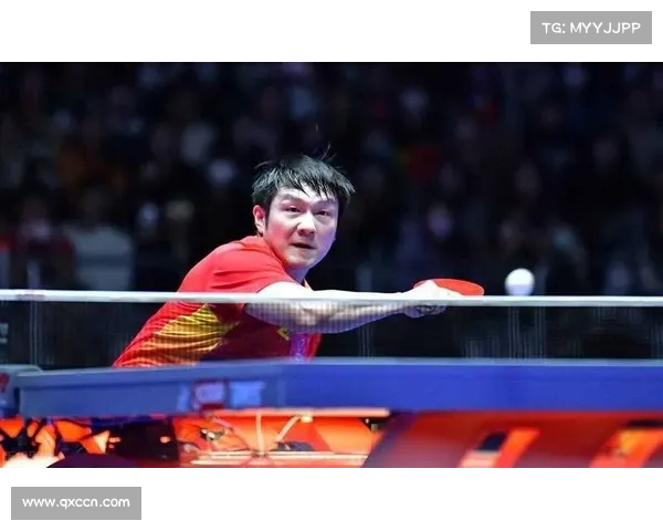 樊振东加盟助力德甲强队崛起 波尔退役雨果离队引发乒坛格局大洗牌