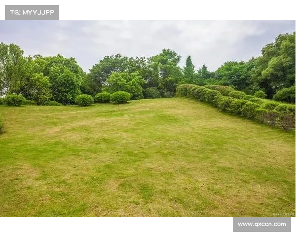 温网草种研发取得突破 新耐践踏品种通过测试损耗率降低15%